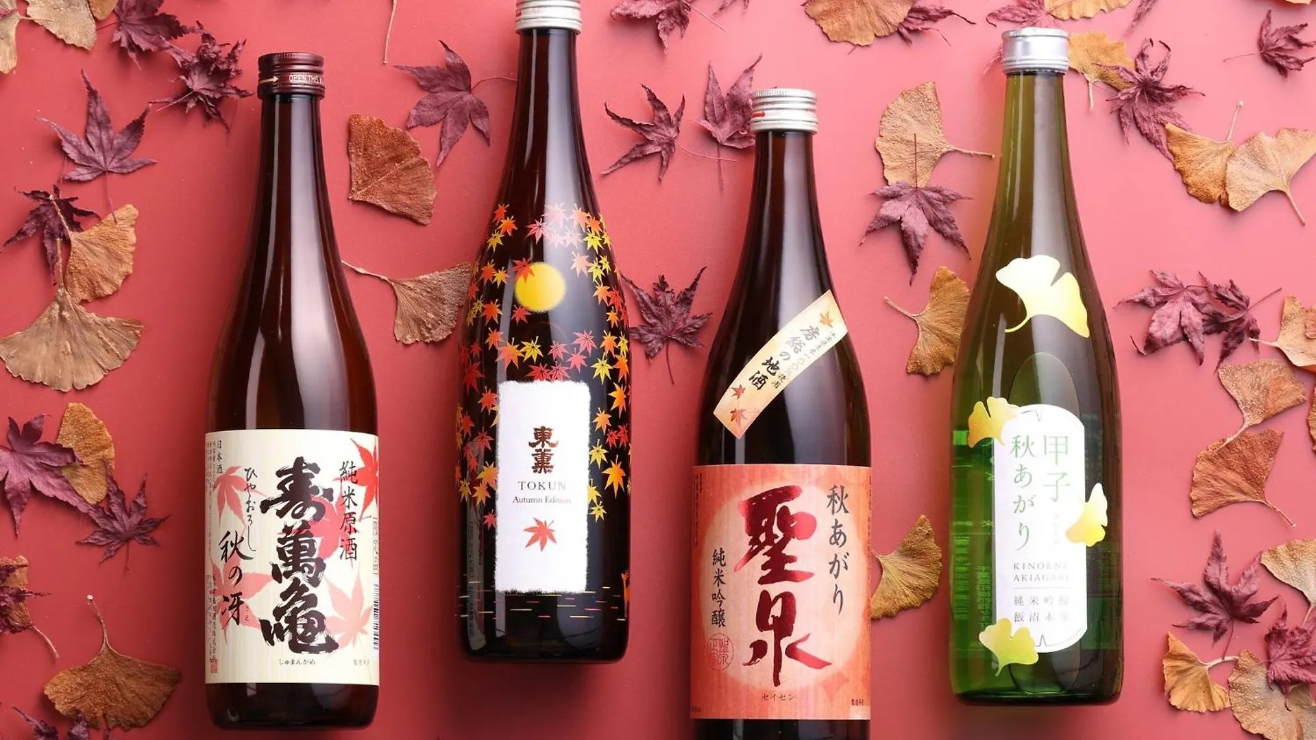 成田全日空皇冠假日酒店 4*, 成田 日本